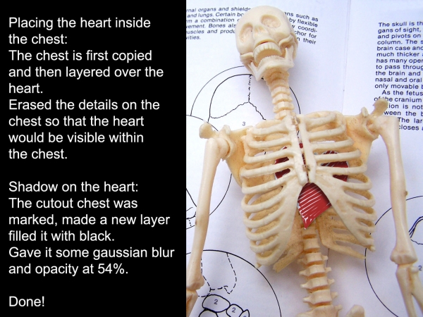 Creation of Inserted paperheart: Step 2